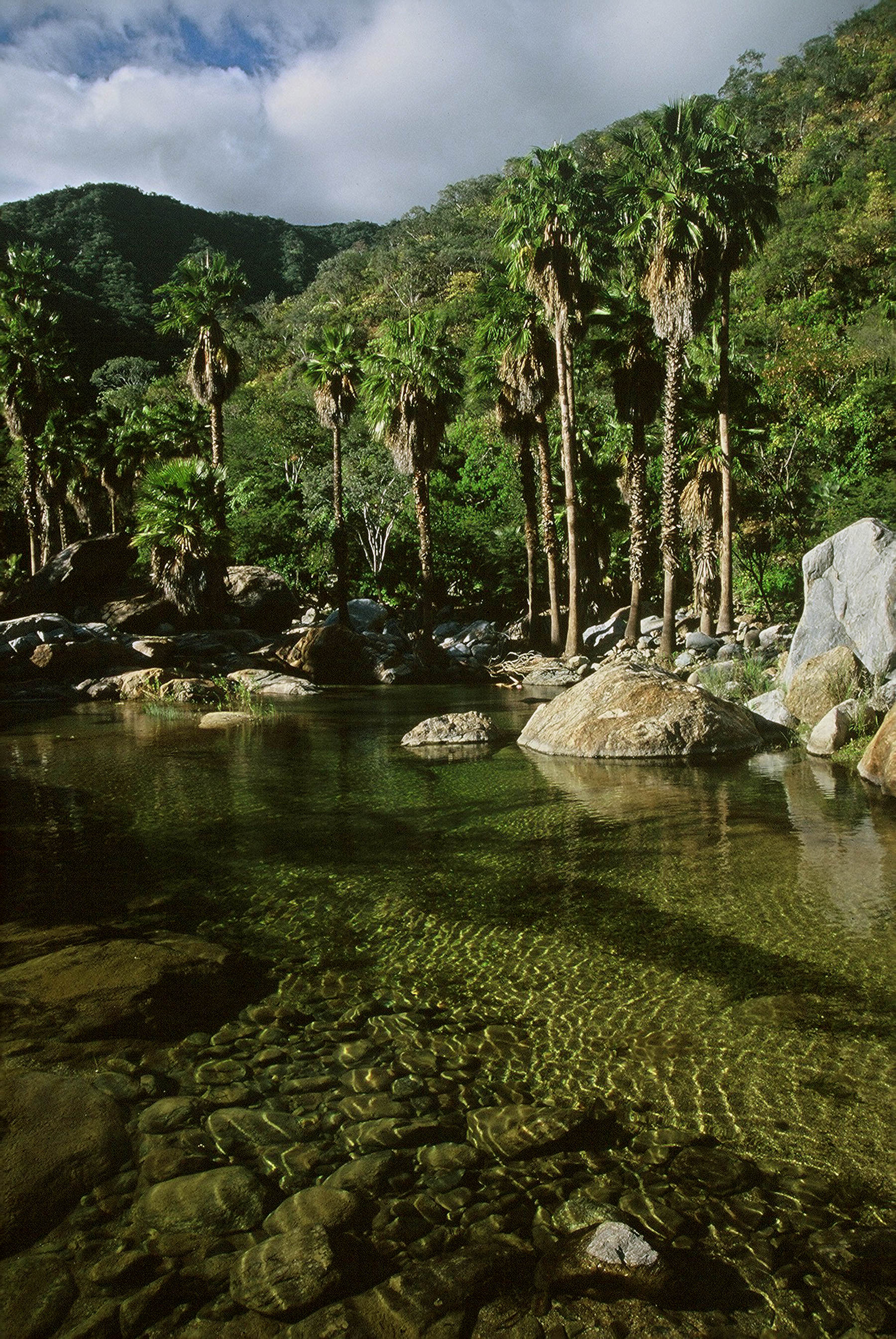 Sierra la Laguna